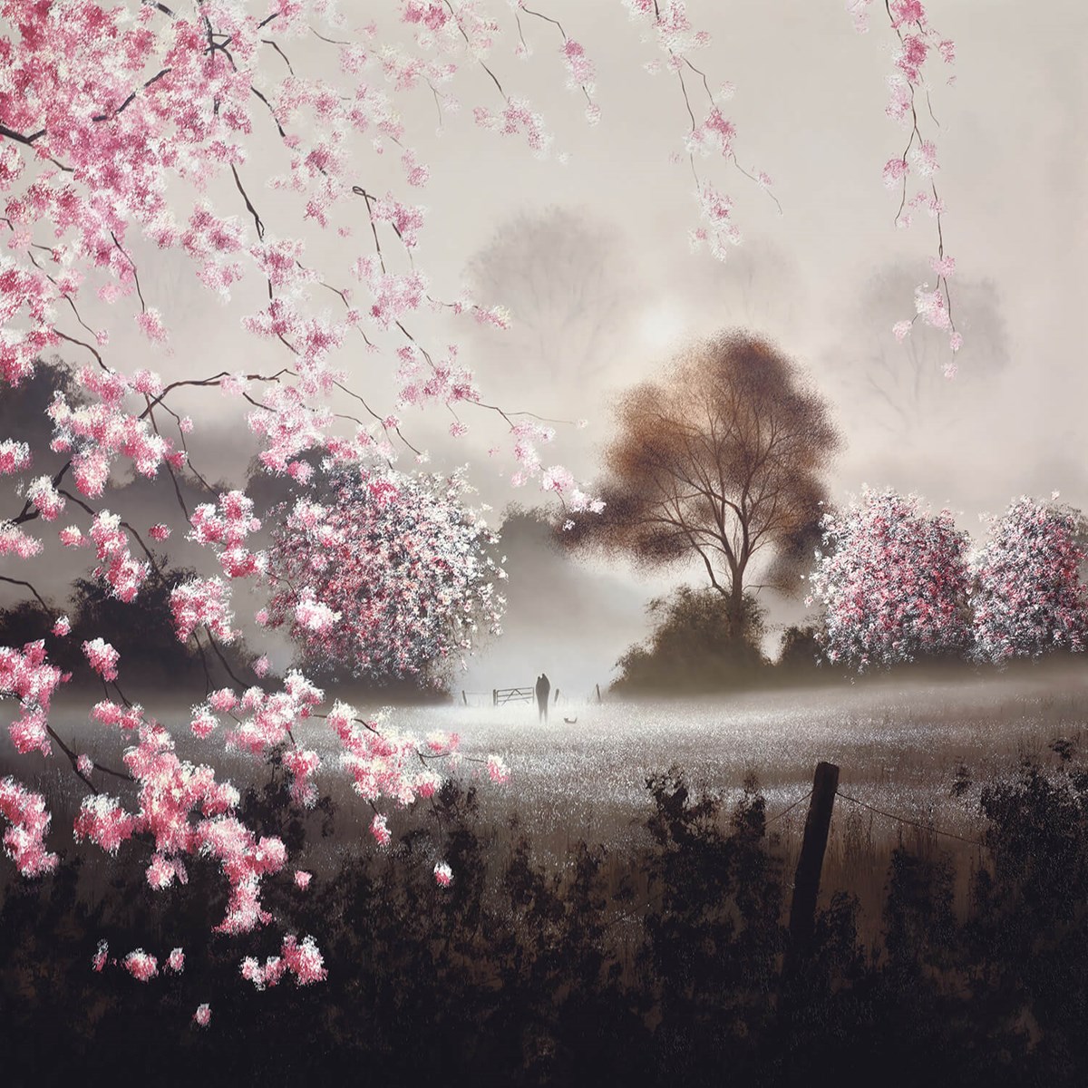 Through Blossom Fields I